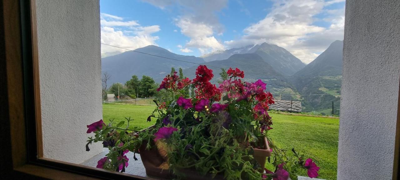 Lo Noyer Et Les Roses Bed & Breakfast Saint Nicolas Luaran gambar