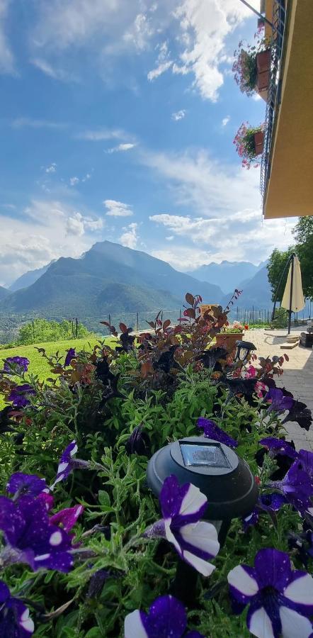 Lo Noyer Et Les Roses Bed & Breakfast Saint Nicolas Luaran gambar